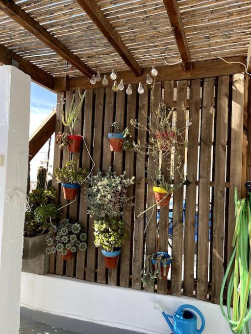 La Casa Del San Anton Villa Nijar Exterior photo